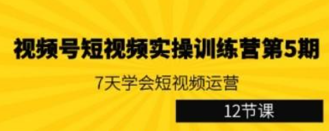 视频号短视频实操训练营第5期：7天学会短视频运营（12节课）