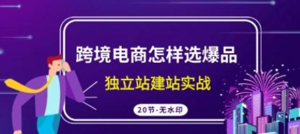 跨境电商怎样选爆品 独立站建站实战课程（20节高清课）