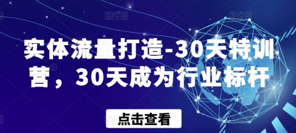 实体流量打造-30天特训营 30天成为行业标杆