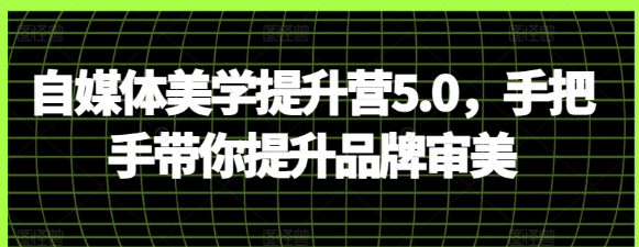 自媒体美学提升营5.0 手把手带你提升品牌审美