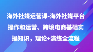 海外社媒运营课 海外社媒平台操作和运营、跨境电商基础实操知识 理论+演练全流程