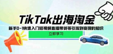 TikTok出海淘金，新手0-1快速入门短视频直播带货等引流到变现的知识