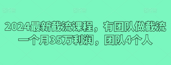 2024最新截流课程 有团队做截流一个月35万利润 团队4个人