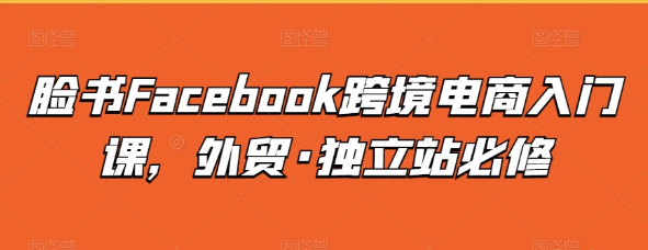 Facebook跨境电商入门课 外贸·独立站必修