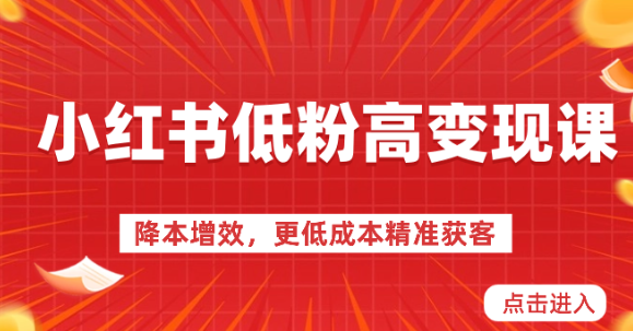 小红书低粉高变现课-降本增效 更低成本精准获客 小红书必爆的流量密码