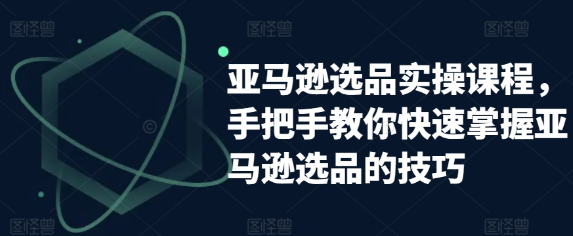 亚马逊选品实操课程 手把手教你快速掌握亚马逊选品的技巧