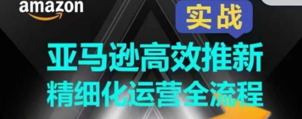 亚马逊高效推新精细化运营全流程 全方位、快速拉升产品排名和销量!