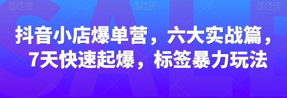 抖音小店爆单营 六大实战篇 7天快速起爆 标签暴力玩法