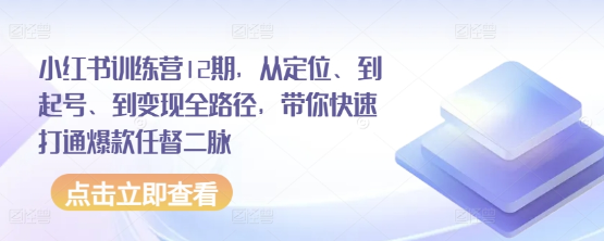 小红书训练营12期 从定位、到起号、到变现全路径 带你快速打通爆款任督二脉