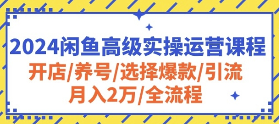 闲鱼高级实操运营课程 开店/养号/选择爆款/引流/月入2万/全流程