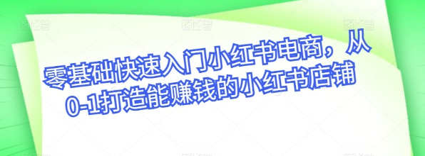 零基础快速入门小红书电商从0-1打造能赚钱