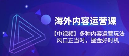 海外内容运营课【中视频】多种内容运营玩法 风口正当时 掘金好时机（101节）