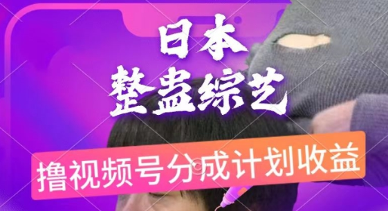 日本整蛊综艺 视频号分成计划收益 每天只需一小时 新手小白轻松上手