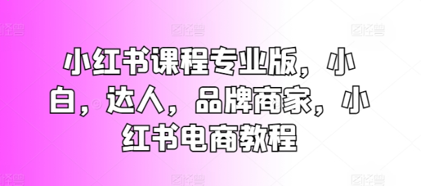 小红书课程专业版 小白，达人，品牌商家，小红书电商教程