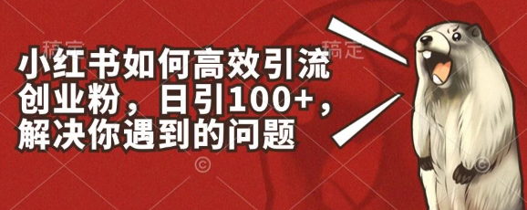 小红书如何高效引流创业粉 日引100+ 解决你遇到的问题