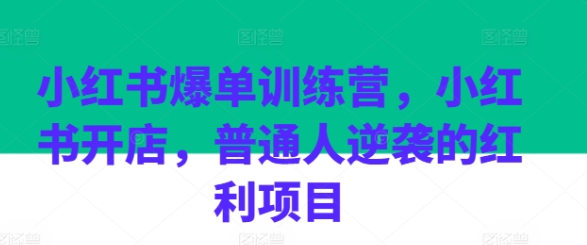 小红书爆单训练营 小红书开店 普通人逆袭的红利项目