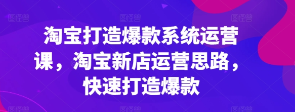 淘宝打造爆款系统运营课 淘宝新店运营思路 快速打造爆款