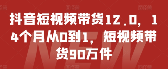 抖音短视频带货12.0 14个月从0到1 短视频带货90万件