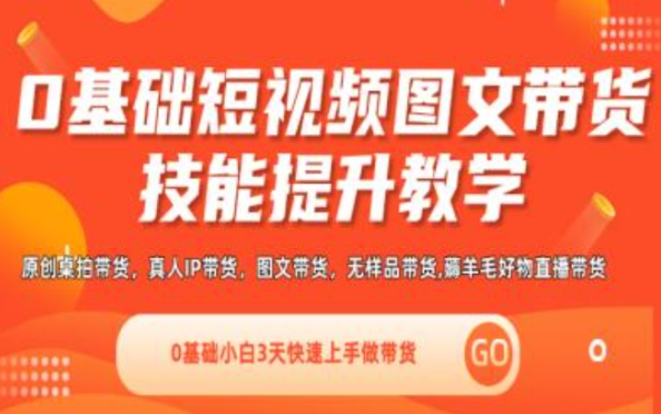 0基础短视频图文带货实操技能提升教学(直播课+视频课) 0基础小白3天快速上手做带货