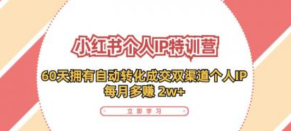 小红书个人IP陪跑营 两个月打造自动转化成交的多渠道个人IP 每月收入2w+（30节）