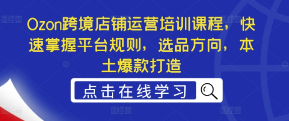 Ozon跨境店铺运营培训课程 快速掌握平台规则 选品方向 本土爆款打造