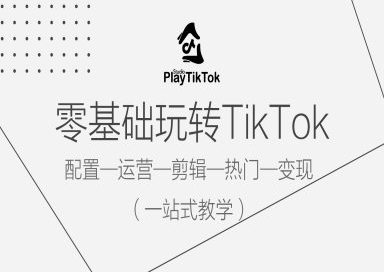 零基础玩转TikTok 配置一运营一剪辑一热门一变现 一站式教学