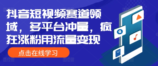 抖音短视频赛道领域 多平台冲量 疯狂涨粉用流量变现