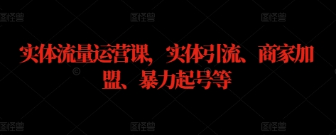 实体流量运营课 实体引流、商家加盟、暴力起号等