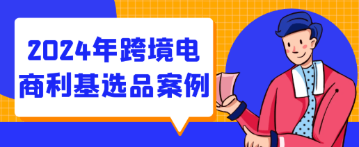 2024年跨境电商利基选品案例