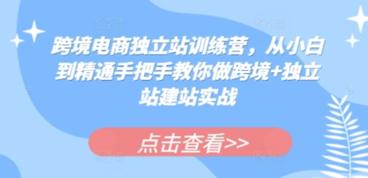 跨境电商独立站训练营 从小白到精通手把手教你做跨境+独立站建站实战