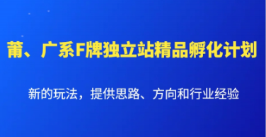 莆、广系F牌独立站精品孵化计划 新的玩法 提供思路、方向和行业经验