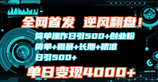 简单操作日引500+创业粉 简单+粗暴+长期+精准