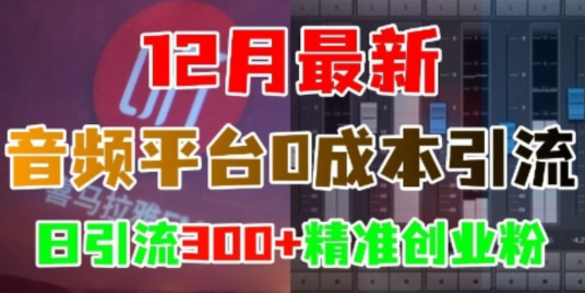 12月最新：音频平台0成本引流 日引流300+精准创业粉